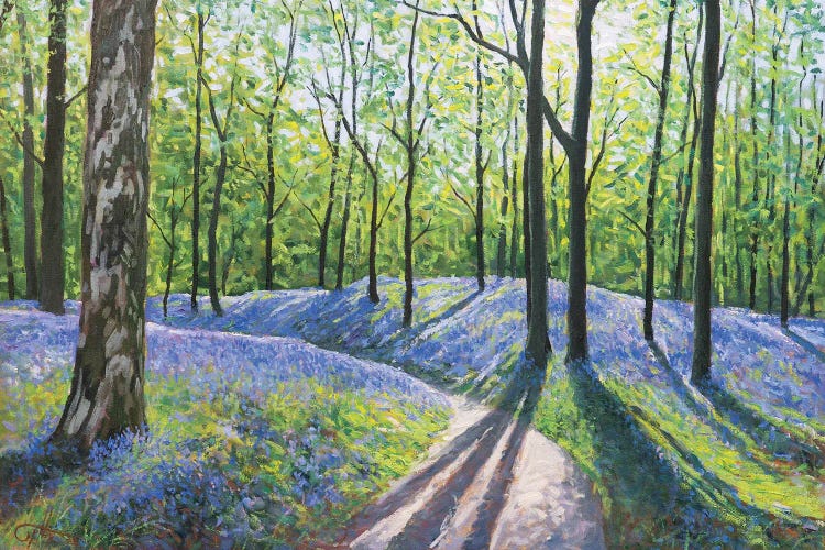 The Scent Of Bluebells