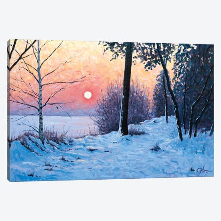 The Silence Of Snow Canvas Print #LTI20} by Lee Tiller Canvas Art Print