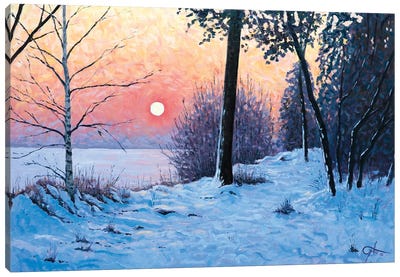The Silence Of Snow Canvas Art Print - Lee Tiller