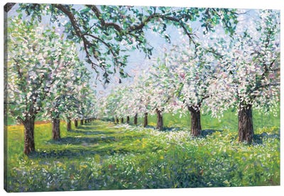Spring Blossom Canvas Art Print - Lee Tiller