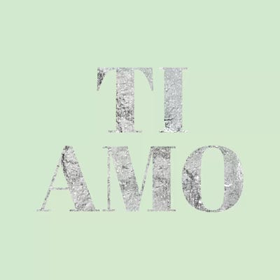 "Ti Amo" Gray on Green by 5by5collective framed canvas print