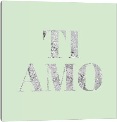 "Ti Amo" Gray on Green Canvas Art Print - Silver Art