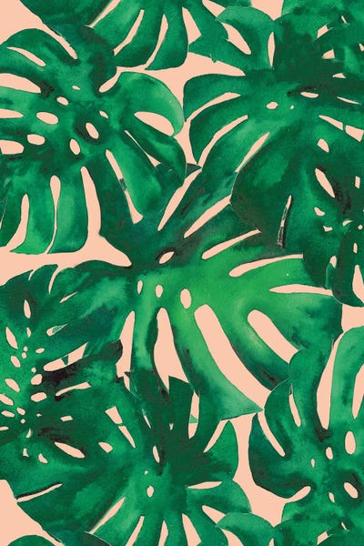 Monsteras: Monstera Leaves by Christine Lindstrom