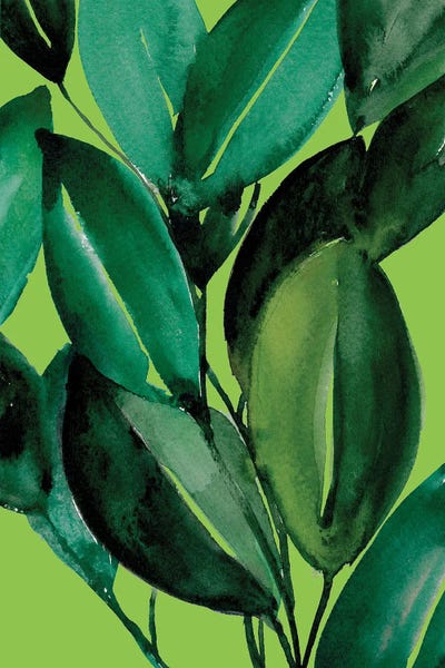 Rubber Tree Plant by Christine Lindstrom gallery poster