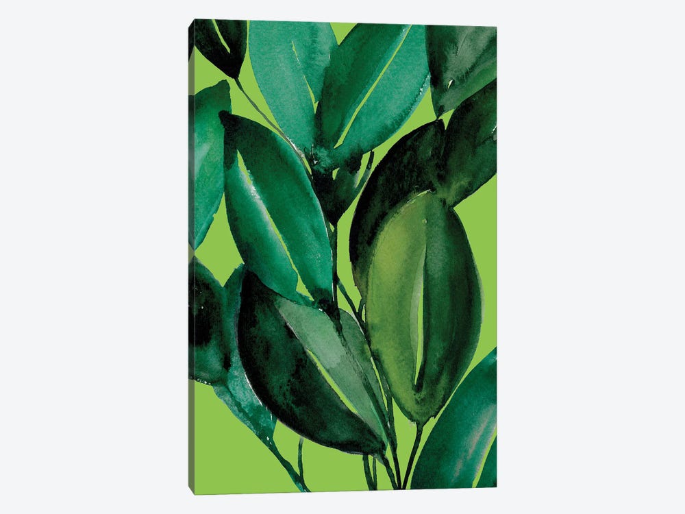 Rubber Tree Plant by Christine Lindstrom 1-piece Canvas Wall Art