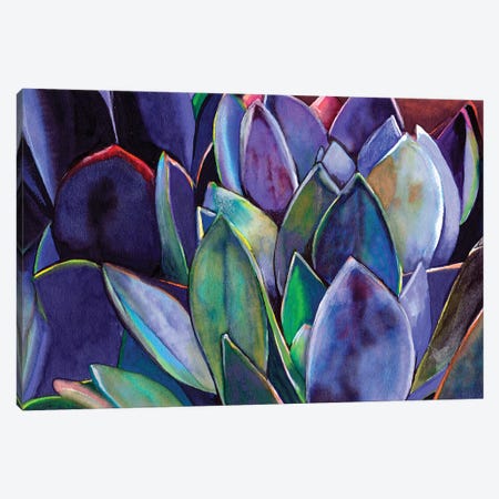 Purple Agave Canvas Print #LTR27} by Christine Lindstrom Art Print