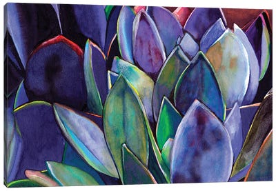 Purple Agave Canvas Art Print - Christine Lindstrom
