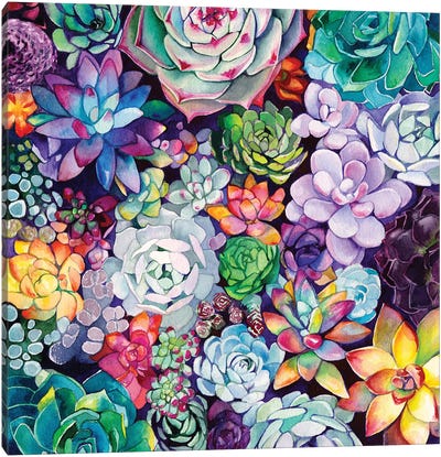 Succulent Garden Canvas Art Print - Plant Mom
