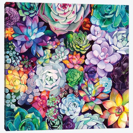 Succulent Garden Canvas Print #LTR29} by Christine Lindstrom Canvas Wall Art
