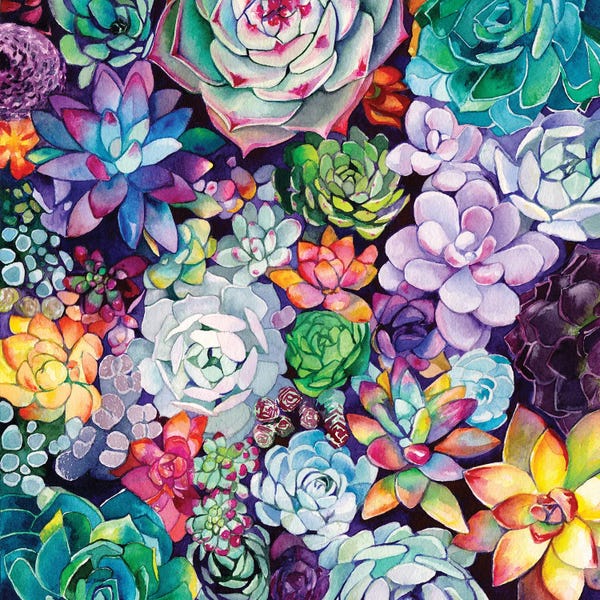 Life In Technicolor: Succulent Garden by Christine Lindstrom