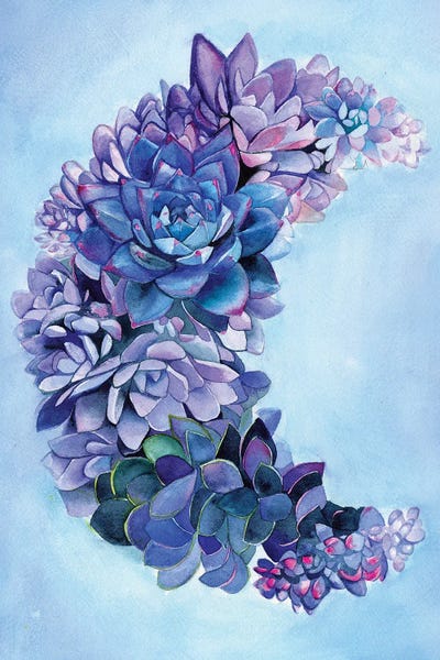 Succulents: Succulent Moon Garden by Christine Lindstrom