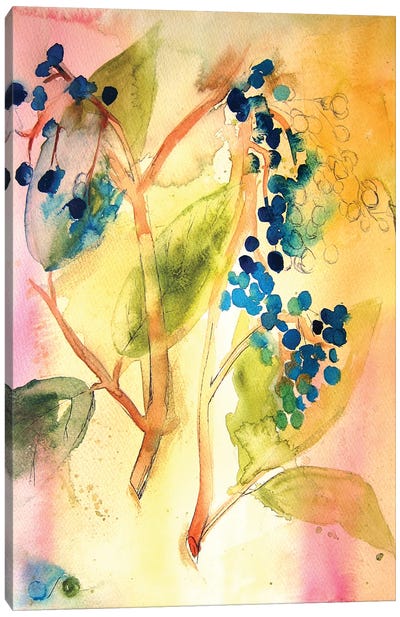 Botanical Abstract Canvas Art Print - Christine Lindstrom