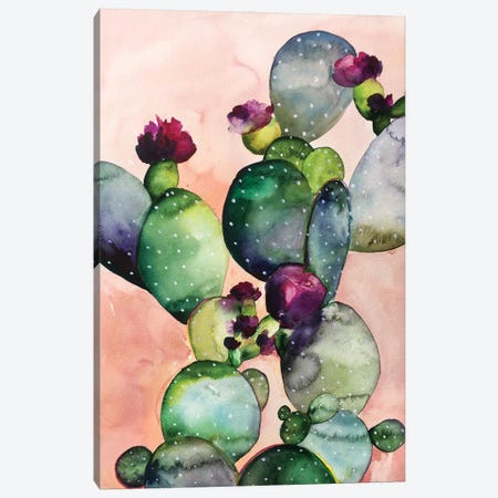 Desert Rose II Canvas Print #LTR5} by Christine Lindstrom Art Print