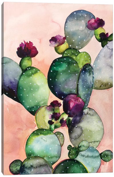 Desert Rose II Canvas Art Print - Christine Lindstrom