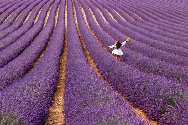 Scenic & Landscapes: Violet by Massimo Della Latta