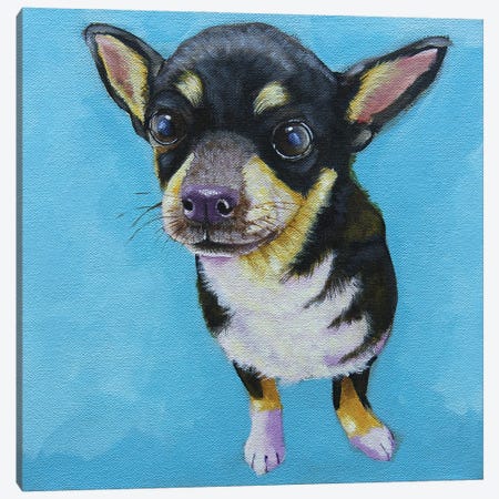 Rachel’s Dog Canvas Print #LUC16} by Lucia Stewart Canvas Artwork