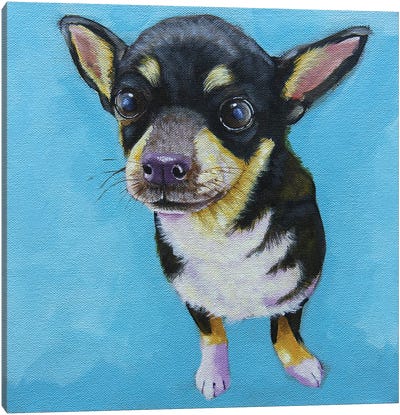 Rachel’s Dog Canvas Art Print - Chihuahua Art