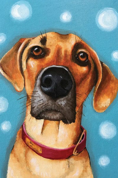 Simba by Lucia Stewart acrylic art print