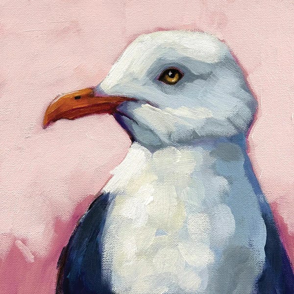 Summer Seagull II