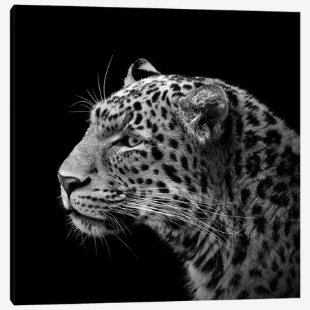 Leopard In Black & White I Canvas Print #LUK11} by Lukas Holas Canvas Art Print