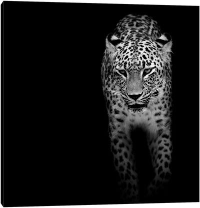Leopard In Black & White II Canvas Art Print - Leopard Art