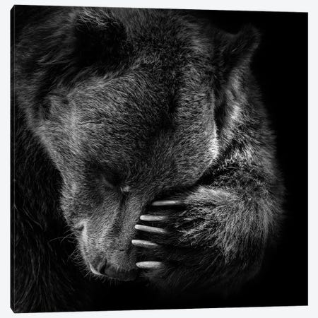 Bear In Black & White I Canvas Print #LUK1} by Lukas Holas Canvas Print