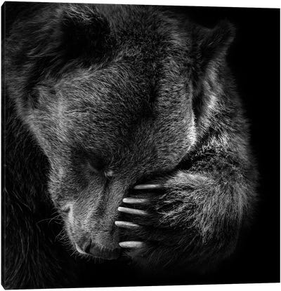 Bear In Black & White I Canvas Art Print - Minimalist Wildlife Photography
