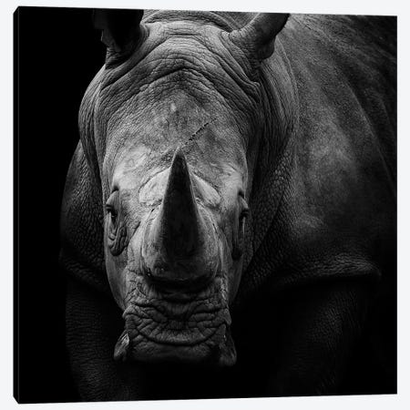 Rhino In Black & White Canvas Print #LUK21} by Lukas Holas Canvas Wall Art