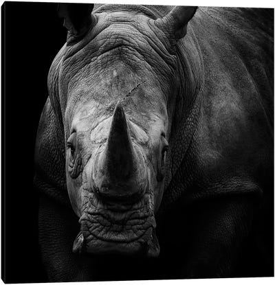 Rhino In Black & White Canvas Art Print - Rhinoceros Art