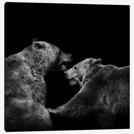 Two Bears In Black & White Canvas Print #LUK23} by Lukas Holas Canvas Art