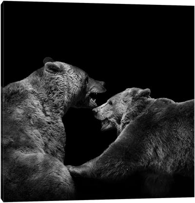 Two Bears In Black & White Canvas Art Print - Lukas Holas