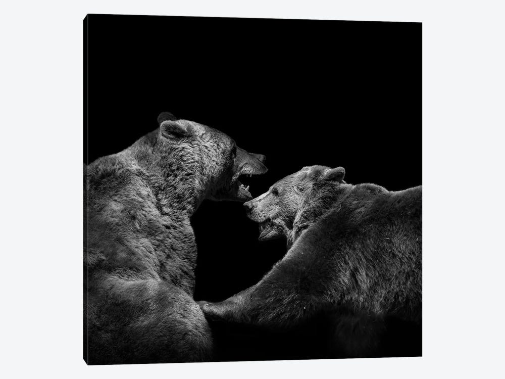 Two Bears In Black & White by Lukas Holas 1-piece Canvas Wall Art