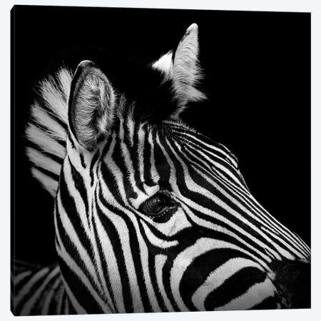 Zebra In Black & White II Canvas Print #LUK28} by Lukas Holas Canvas Wall Art