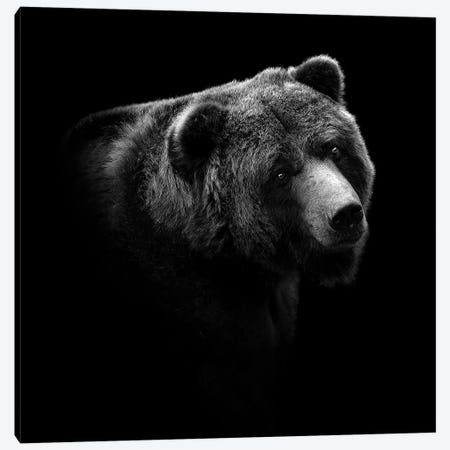 Bear In Black & White II Canvas Print #LUK2} by Lukas Holas Canvas Art Print
