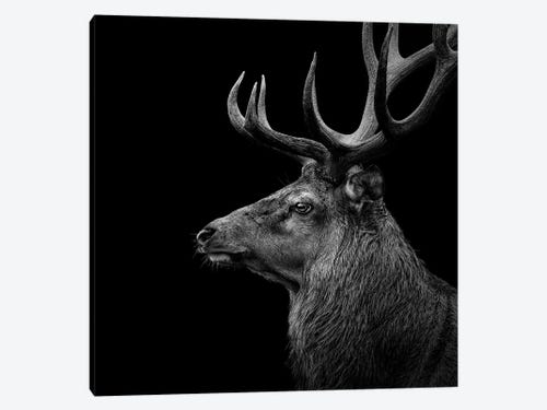A218 Black Deer Silhouette White  Funky Animal Canvas Wall Art  Picture Print 