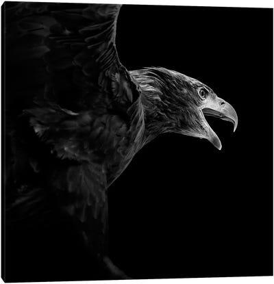 Eagle In Black & White Canvas Art Print - Minimalist Wildlife Photography