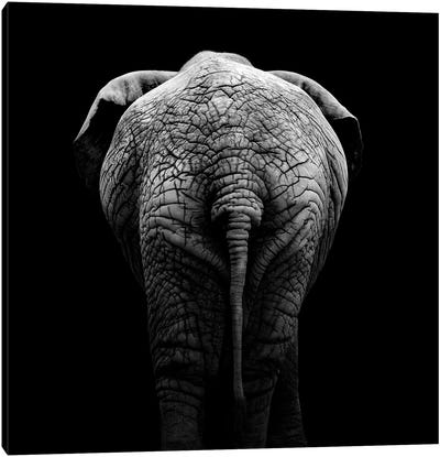 Elephant In Black & White II Canvas Art Print - Minimalist Wildlife Photography