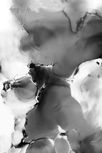 Grey Wolf by LouLouArtStudio art print