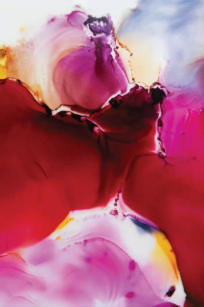 Red Velvet Petals by LouLouArtStudio framed canvas print