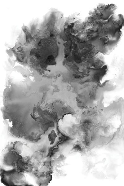 Winter Black And White by LouLouArtStudio framed canvas print