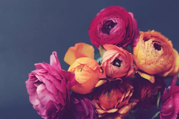 Still Life Photography: Deep Blooms by Lupen Grainne