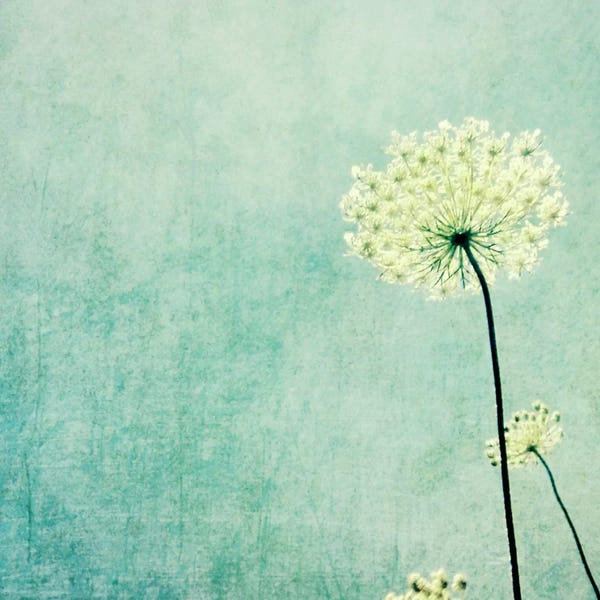 Lupen Grainne: Efflorescence by Lupen Grainne