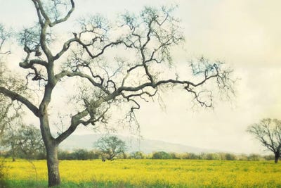 Green Gold by Lupen Grainne canvas print