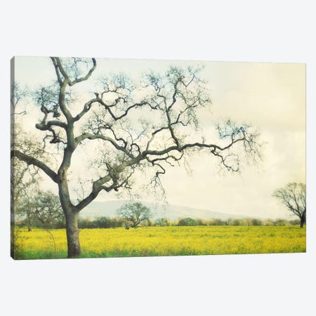 Green Gold Canvas Print #LUP19} by Lupen Grainne Canvas Wall Art