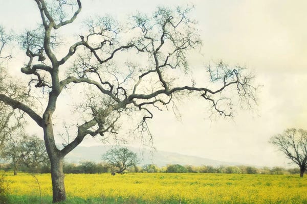 Lupen Grainne: Green Gold by Lupen Grainne