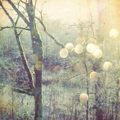 Into The Mystic by Lupen Grainne art print