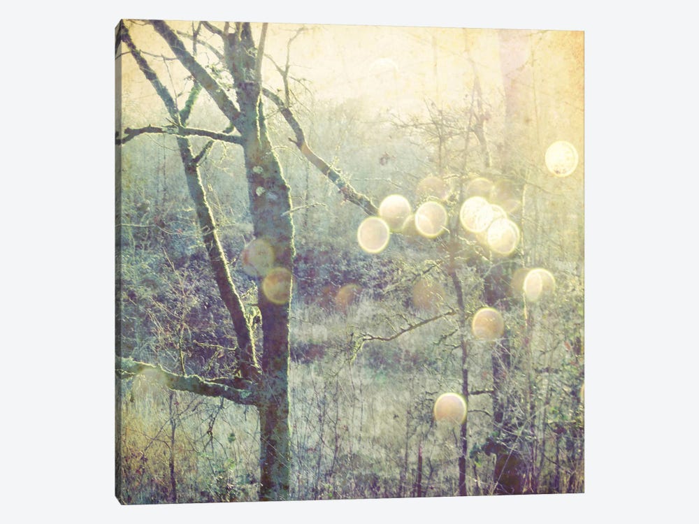 Into The Mystic by Lupen Grainne 1-piece Canvas Print