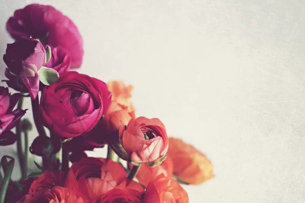 Peonies: Lovely Day by Lupen Grainne