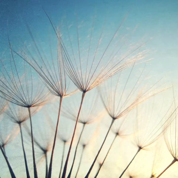 Lupen Grainne: Make A Wish by Lupen Grainne