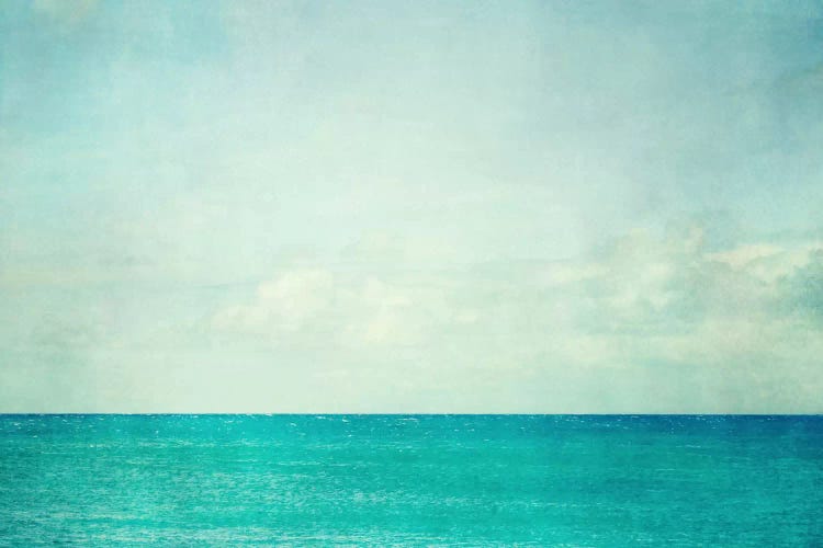 Aqua Dream by Lupen Grainne wall art